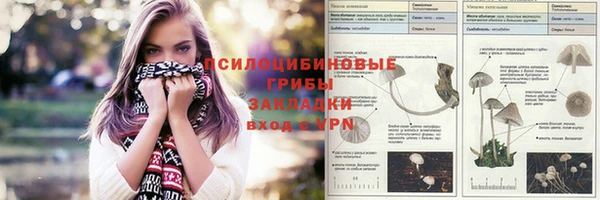 дмт Алексин
