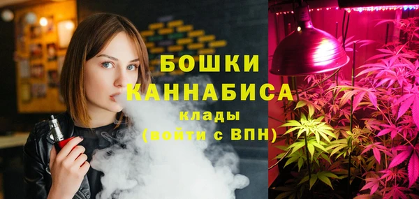 стаф Алексеевка