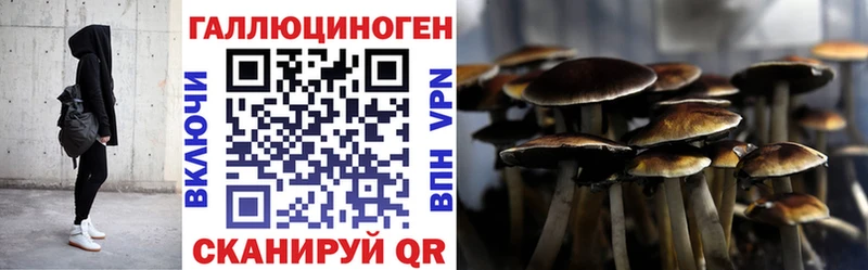 купить  цена  Анива  kraken как зайти  Псилоцибиновые грибы прущие грибы 